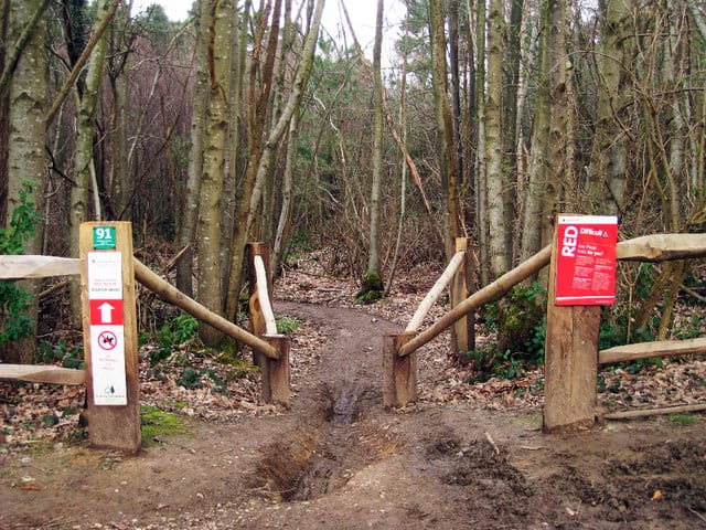 bedgebury cycling