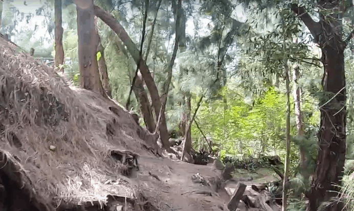 markham park mountain bike trail gun range